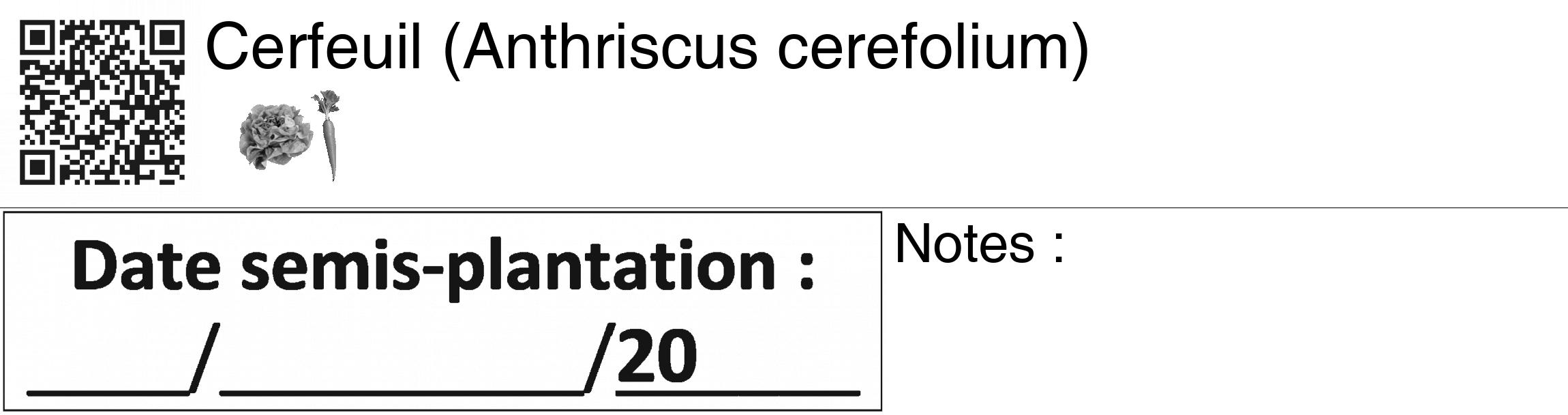 Étiquette de Anthriscus cerefolium - format c - style noire60_basiquegrrvhel avec qrc et comestibilité
